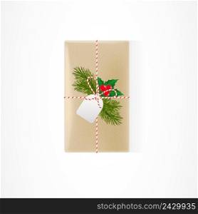 Illustration of present package decorated with fir sprig and mistletoe spur. Celebrating, gift, decoration. Holiday concept. Can be used for topics like New Year, Christmas, holiday