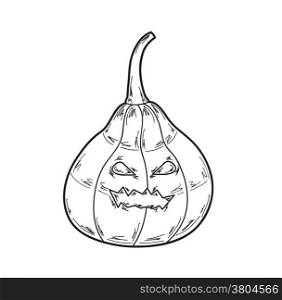 illustration of pumpkin on white background, vector. pumpkin illustration, vector
