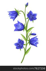Illustration of realistic bells. Beautiful summer flower.. Illustration of realistic bells. Beautiful flower.