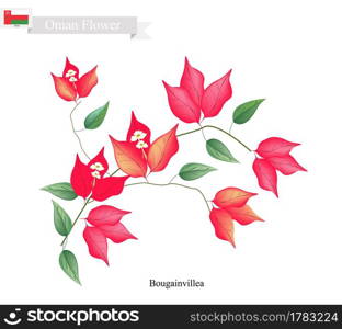 Illustration of Red Bougainvillea Flowers or Paper Flowers. One of The Most Popular Flower in Oman.