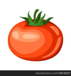 Illustration of red ripe tomato. Agricultural farm item. Isolated vegetable.. Illustration of red ripe tomato.