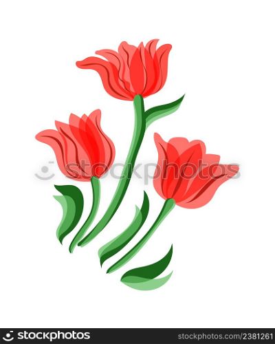 Illustration of red tulips. Three red tulips. Spring illustration.. Red tulips set