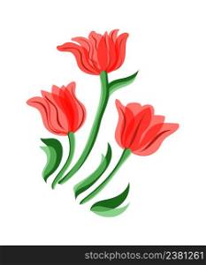 Illustration of red tulips. Three red tulips. Spring illustration.. Red tulips set