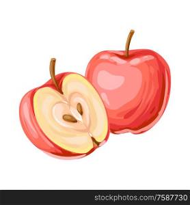 Illustration of ripe apple and slice. Summer fruit in decorative style.. Illustration of ripe apple and slice.