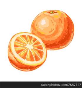 Illustration of ripe orange and slice. Summer fruit in decorative style.. Illustration of ripe orange and slice.