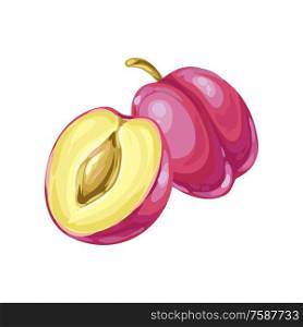 Illustration of ripe plum and slice. Summer fruit in decorative style.. Illustration of ripe plum and slice.