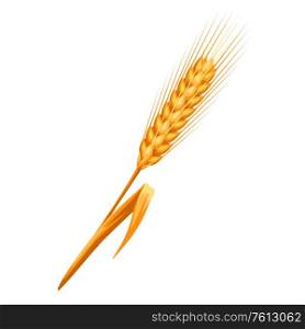 Illustration of ripe wheat ear. Agricultural natural emblem.. Illustration of ripe wheat ear.