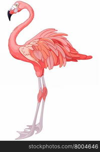 Illustration of rosy flamingo