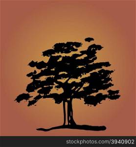 Illustration of silhouette tree hand drawn by brush