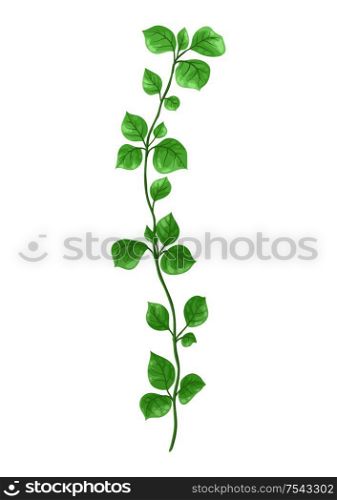 Illustration of sprig with green leaves. Decorative natural plant.. Illustration of sprig with green leaves.