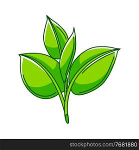 Illustration of sprout with leaves. Ecology icon or image for environment protection.. Illustration of sprout with leaves. Ecology icon for environment protection.