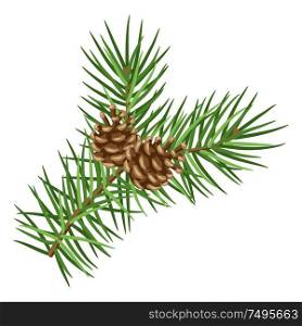 Illustration of spruce branch with cones. Stylized hand drawn image in retro style.. Illustration of spruce branch with cones.