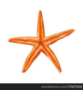 Illustration of starfish. Tropical underwater decorative sea animal.. Illustration of starfish. Tropical underwater sea animal.