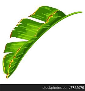 Illustration of stylized banana palm leaf. Decorative image of tropical foliage and plant.. Illustration of banana palm leaf. Decorative image of tropical foliage and plant.