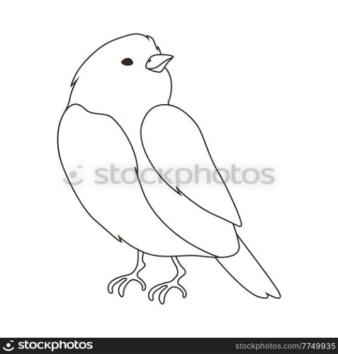 Illustration of stylized bird. Image of wild birdie in linear style. Vector icon.. Illustration of stylized bird. Image of wild birdie in linear style.
