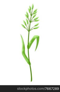 Illustration of stylized cereal grass. Decorative meadow plant.. Illustration of stylized cereal grass.