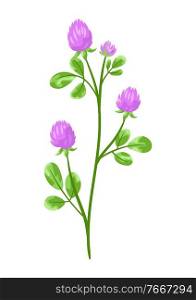 Illustration of stylized clover. Decorative meadow plant.. Illustration of stylized clover.