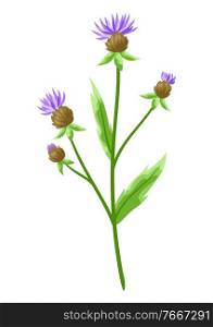 Illustration of stylized cornflower. Decorative meadow plant.. Illustration of stylized cornflower.