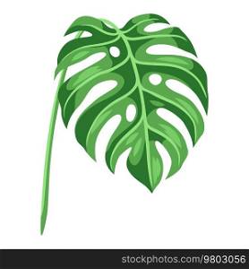 Illustration of stylized palm leaf. Decorative image of tropical foliage and plant.. Illustration of stylized palm leaf. Image of tropical foliage and plant.