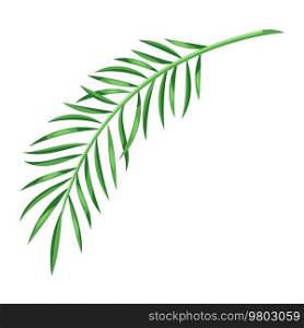 Illustration of stylized palm leaf. Decorative image of tropical foliage and plant.. Illustration of stylized palm leaf. Image of tropical foliage and plant.