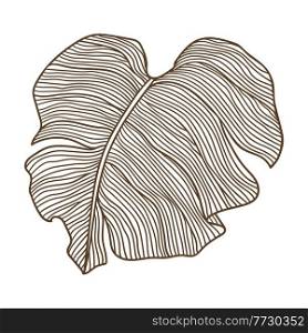 Illustration of stylized palm leaf. Decorative image of tropical foliage and plant. Linear texture.. Illustration of stylized palm leaf. Decorative image of tropical foliage and plant.