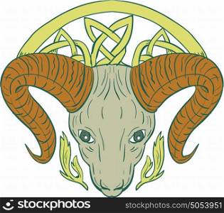 Illustration of stylized ram bighorn mountain goat head with Celtic knot, called Icovellavna, plait work or knotwork woven into unbroken cord design viewed from front set on isolated white background.