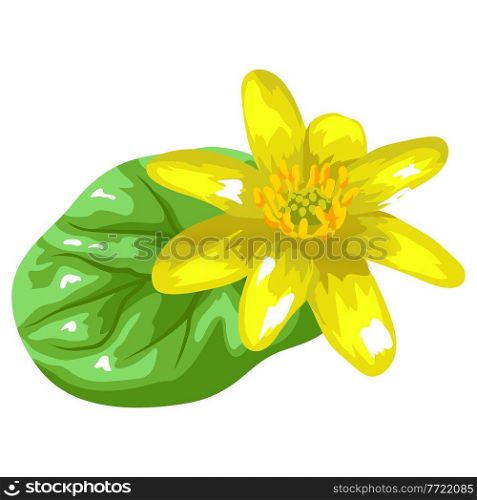 Illustration of stylized yellow buttercup with leaf. Decorative summer plant. Image for decoration.. Illustration of stylized yellow buttercup with leaf. Decorative summer plant.