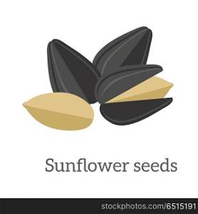 Illustration of Sunflower Seeds. Illustration of sunflower seeds. Ripe sunflower seed in flat. Several sunflower seeds. Healthy vegetarian food. Isolated vector illustration on white background.