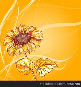Illustration of sunflower. Vector illustration, contains transparencies, gradients and effects.