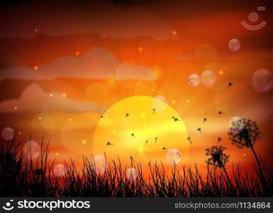 Illustration of sunrise and dragonfly