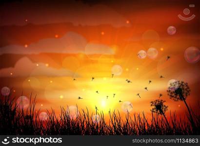Illustration of sunrise and dragonfly. vector illustration