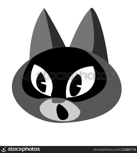 illustration of the cat on white background