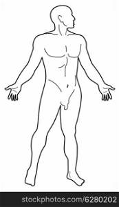 Illustration of the human anatomy silhouette showing a male standing on isolated white background.