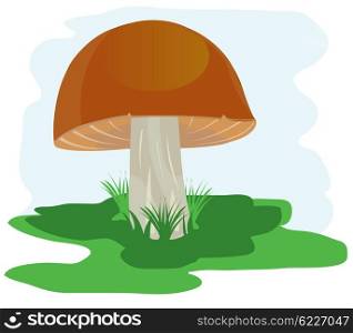 Illustration of the mushroom on green glade. Mushroom on glade