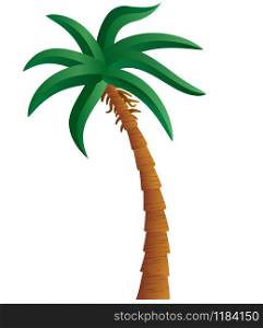 illustration of the palm tree on the white background. palm tree