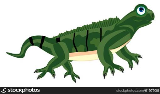 Illustration of the pangolin iguana on white background is insulated. Pangolin iguana on white background