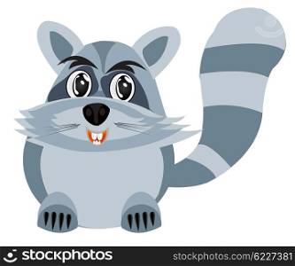 Illustration of the racoon on white background is insulated. Drawing of the racoon on white background
