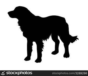 illustration of the rambling dog on white background
