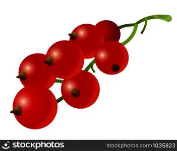 illustration of the red currant on the white background. red currant