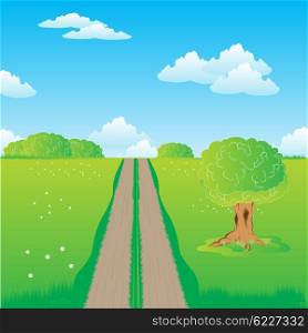Illustration of the rural road in field with flower. Rural road in steppe