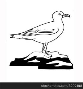 illustration of the sea gull on white background