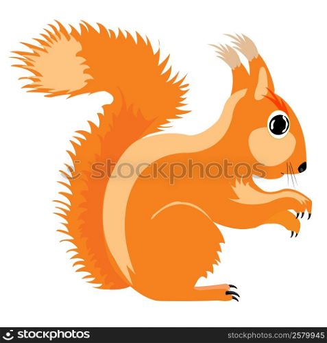 Illustration of the squirrel on white background is insulated. Illustration of the squirrel