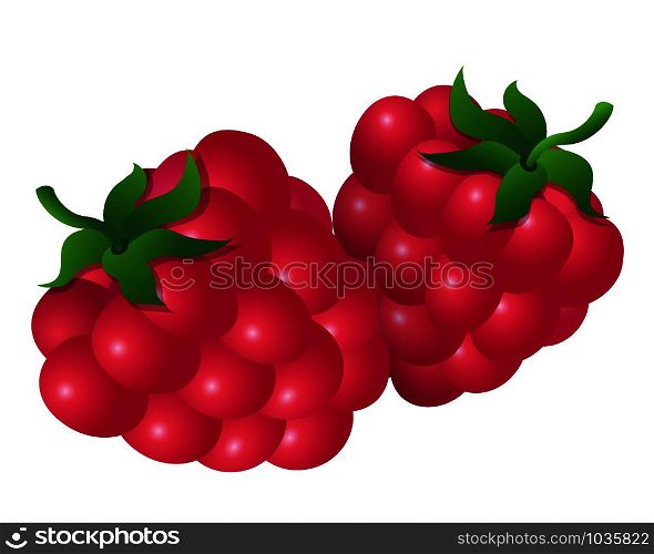 illustration of the two raspberries on the white background. two raspberries