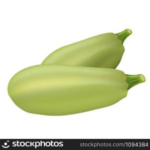 illustration of the two zucchini on the white background. two zucchini