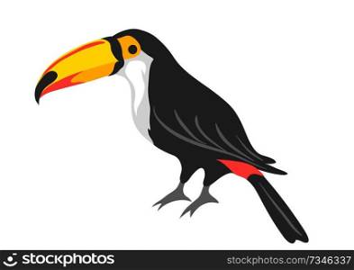Illustration of toucan. Tropical exotic bird isolated on white background.. Illustration of toucan. Tropical exotic bird on white background.
