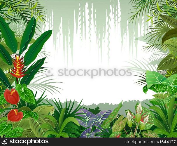 Illustration of tropical forest