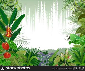 Illustration of tropical forest