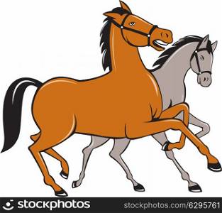 Illustration of two horses prancing side by side set on isolated white background done in cartoon style. . Two Horses Prancing Side Cartoon