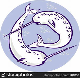 illustration of two narwhal Monodon monoceros unicorn whale witjh straight tusk tooth set inside oval done in retro style.. Narwhal Monodon monoceros unicorn whale