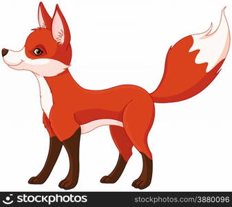 Illustration of very cute red fox